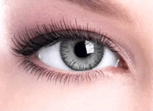 Grey Coloured Contact Lenses