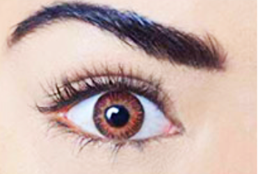 Dark Brown Color Style Contact Lenses Dark Brown Color Style Contact Lenses